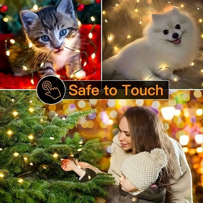 description_selected4
